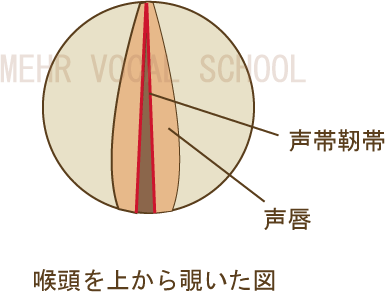 声種アイコン