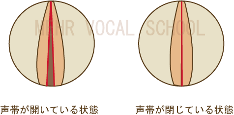 音の出るしくみの図