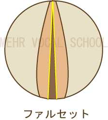 ファルセット図